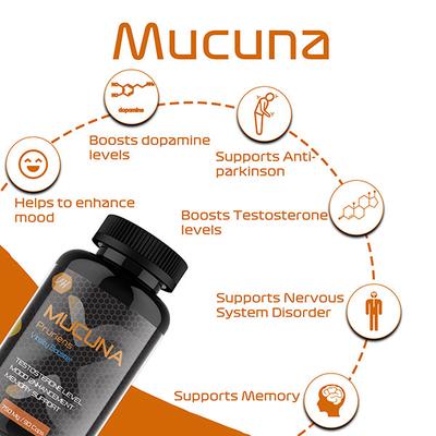 Vitaminhaat Mucuna Pruriens 750 mg Capsule 90's - Herbal Dietary Supplement