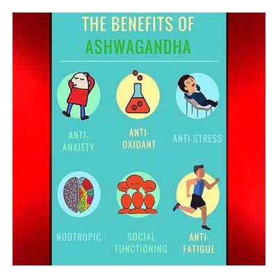 Vubasil Ashwagandha 800 mg Capsule (Pack of 2 x 60's) - Ashwagandha