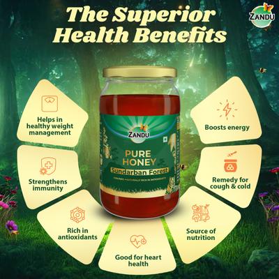 Zandu Sundarban Forest Pure Honey 500 gm - Honey