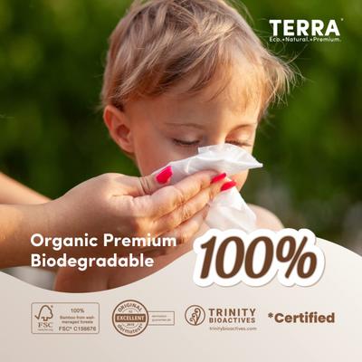 Terra Pure Water Baby Wipes 24's - Diapers & Wipes
