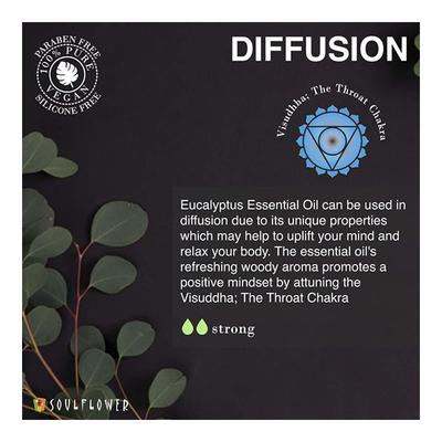 Soulflower Essential Oil - Eucalyptus 15 ml - Essential Oils