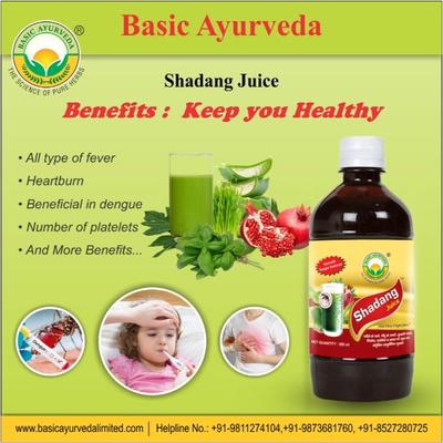 Basic Ayurveda Shadang Juice 500 ml - Ayurvedic Juices