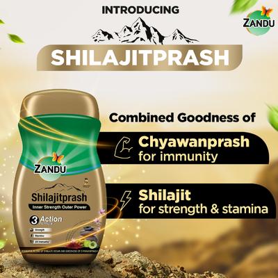 Zandu Shilajitprash 900 g - Chyawanprash