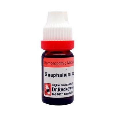 Dr. Reckeweg Gnaphalium Polycephalum 30 Liquid 11 ml - Dilutions