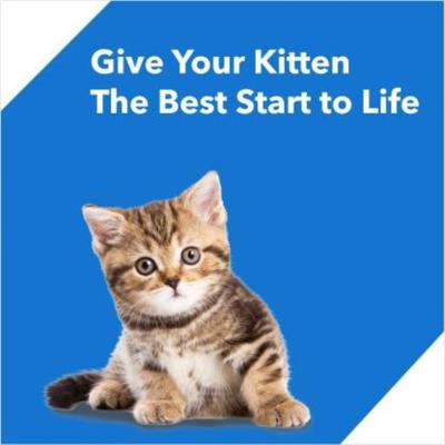 Drools Ocean Fish Kitten Cat Food (3kg+1kg food Free Inside) 4000 gm - Petfood