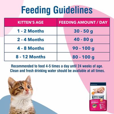 Kitty Yums Kitten(1-12 Months) Dry Cat Food, Ocean Fish 1200 gm - Petfood