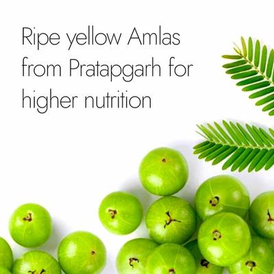 Kapiva Ayur Foods Triphala Plus Capsules 60's - Pure Herbs