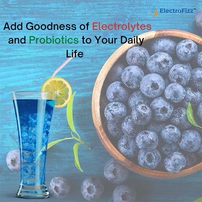 ElectroFizz Electrolyte Powder - Blueberry 1 kg - Health Drink
