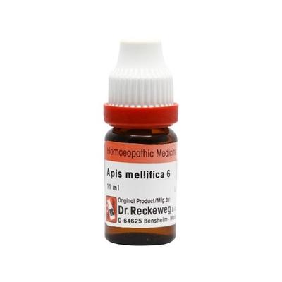 Dr. Reckeweg Apis Mellifica 6 Liquid 11 ml - Dilutions