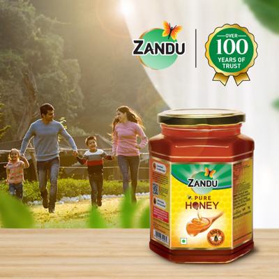 Zandu Pure Honey 1 kg - Honey