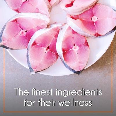 Purepet Complete Adult Cat Pet Food - Mackerel 6 kg - Petfood