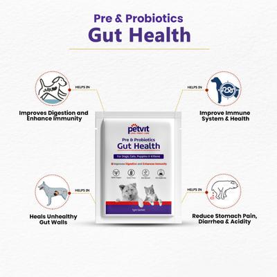 Petvit Pre & Probiotics Gut Health Powder for Dogs, Cats, Puppies & Kittens 20's - Pet accessories