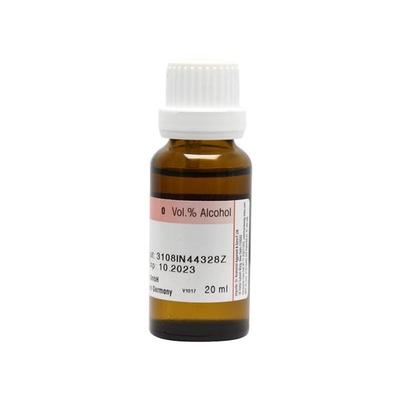 Dr. Reckeweg Mullein Oil Liquid 20 ml - Mother Tincture