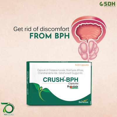 Shree Dhanwantri Herbals Crush-BPH Capsule (Pack of 4 x 10's) - Speciality Medicines