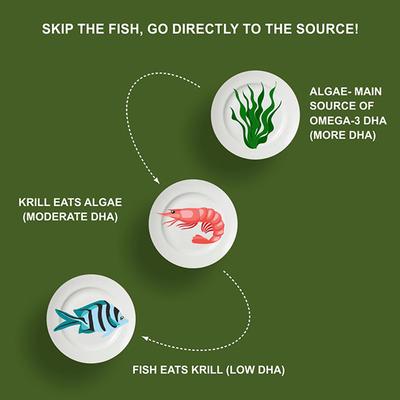 CF Omega - 3 Veg Tablet 60's - Omega Fish Oil Fatty Acids