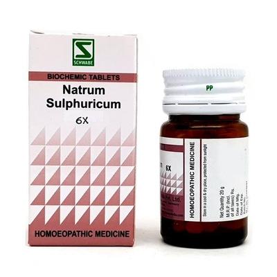 Dr.Willmar Schwabe Natrum Salicylicum 6X Tablet 20 gm - Triturations (Homeo Tablets)