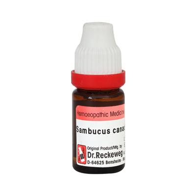 Dr. Reckeweg Sambucus Canadensis 30 Liquid 11 ml - Dilutions
