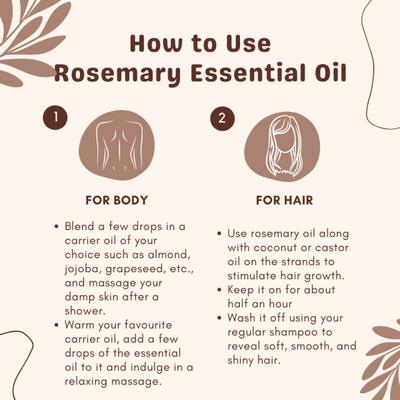 Essentia Extracts Pure Steam Distilled Essential Oil - Rosemary (Pack of 2 x 15 ml) 1's - Essential Oils