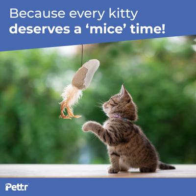 Pettr Cat Fishing Wand Toy 1's - Pet accessories