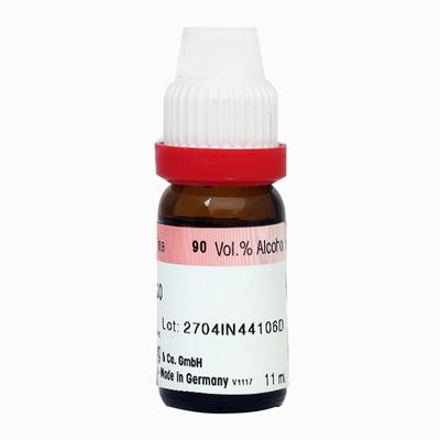 Dr. Reckeweg Chamomilla 200 Liquid 11 ml - Dilutions