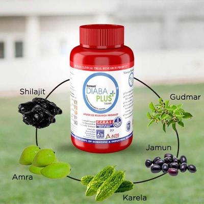 Deemark Diaba Plus Capsule (Pack of 2 x 30's) - Diabetes Care (Ayush)