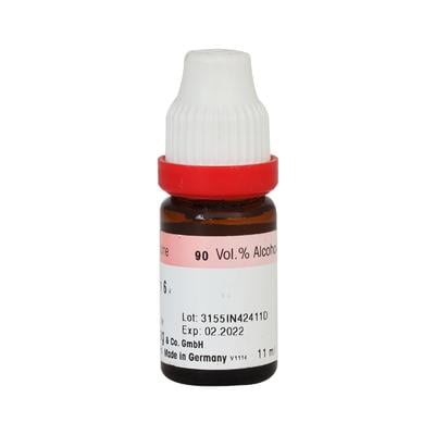 Dr. Reckeweg Croton Tiglium 6 Liquid 11 ml - Dilutions