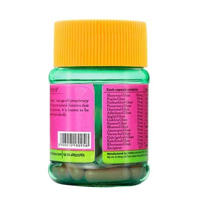 Dr.Vaidya's Renoherb Capsule (Pack of 2 x 30's) - Speciality Medicines