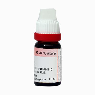 Dr. Reckeweg Aralia Rac 30 Liquid 11 ml - Dilutions