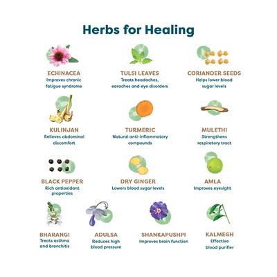 Wellbeing Nutrition Grandma's Kadha Ayurvedic Tea Effervescent Tablet (Pack of 2 x 15's) - Green/Herbal Teas