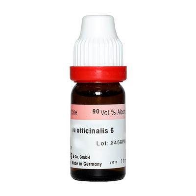 Dr. Reckeweg Calendula Officinalis 6 Liquid 11 ml - Dilutions