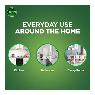 Dettol Antibacterial Surface Disinfectant Spray 500 ml - Others