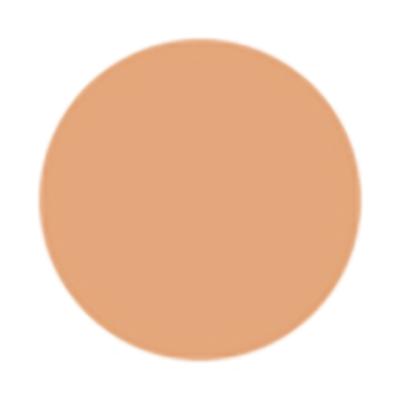 Too Faced Born This Way Super Coverage Concealer Warm Beige 13.5ml - Concealer