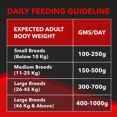 Drools Focus Adult Super Premium Dog Food 1200 gm - Petfood