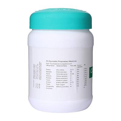 Kottakkal Arya Vaidya Sala C-Health Sugar Free Granules 250 gm - Health Products
