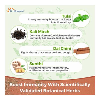 Dr. Morepen Ayush Kwath Powder 100 gm - Health Products