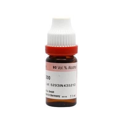 Dr. Reckeweg Plantago Major 200 Liquid 11 ml - Dilutions