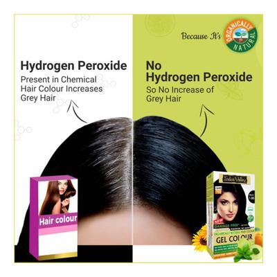 Indus Valley Organically Natural Gel Hair Colour Powder - Black 220 gm - Personal Care (Ayush)