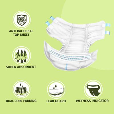Pee Safe Adult Diaper (L-XL) 10's - Adult Diapers & Pads