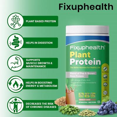 FixUpHealth Plant Protein - Chocolate Flavour 500 gm - Protein Drink