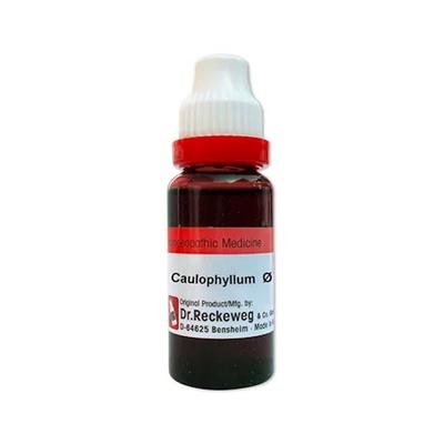 Dr. Reckeweg Caulophyllum Ø Liquid 20 ml - Mother Tincture