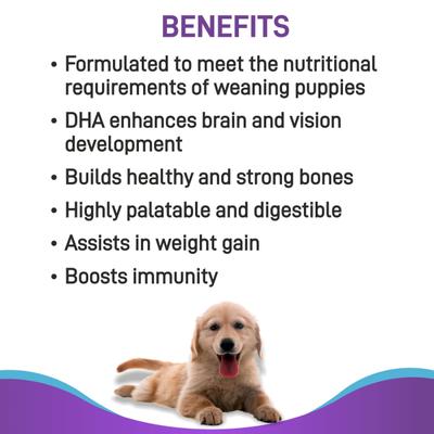 Canine Creek Pup Booster - Puppy Weaning Diet for All Breeds 300 gm - Petfood