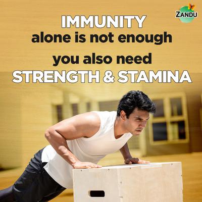 Zandu Shilajitprash 900 g - Chyawanprash