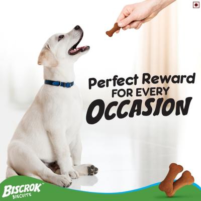Pedigree Biscrok Biscuits - Chicken Flavour 500 gm - Petfood