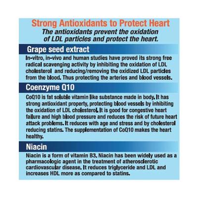 Nutrav Lochol Forte RX 120's - General Health