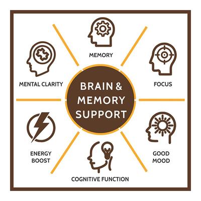CF Brain & Memory Support 1656 mg Veg Tablet 120's - General Health