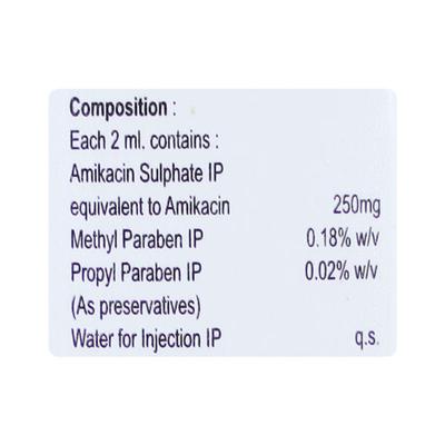 MIKA 250mg Injection 2ml - Bacterial Infections-Ami