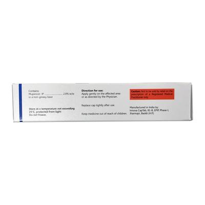 MUPIVENT Ointment 5gm - Skin Infections-Toa