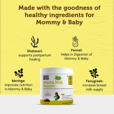Sheneed Plant Based Mama Milk Booster Powder - Chocolate 300 gm - Nutritional Supplements