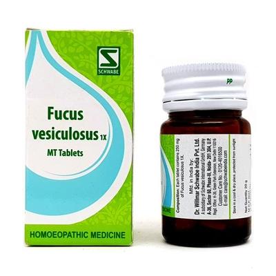 Dr. Willmar Schwabe Fucus Vesiculosus 1X Tablet 20 gm - Bio-Chemic