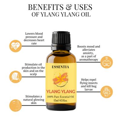 Essentia Extracts Pure Essential Oil Combo (Lavender 15 ml + Tea Tree 15 ml + Ylang Ylang 15 ml) 1 ml - Essential Oils